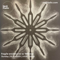 fragile enclosures w/ Mihnea - 2nd February 2025