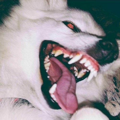 Jerry Folks x Eloq - You Know //Slowed + Reverbed//