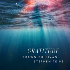 Gratitude - feat. Shawn Sullivan