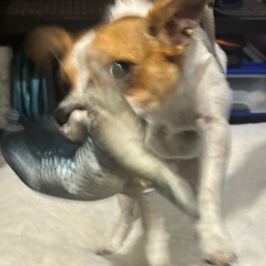 actors + spi, reubanzaza & packlo (soldperc)