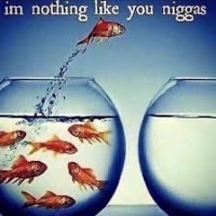 im nothing like you 🐟💯🪖