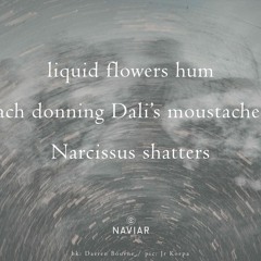 Liquid Flowers Hum ( Naviarhaiku 568)