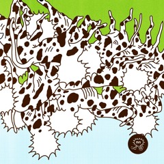 Carlos Benedetti - nue alma