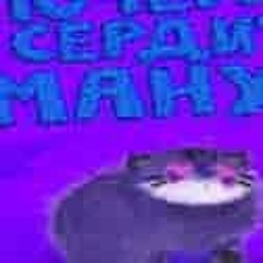 POINZ (2023  ㅤㅤㅤㅤㅤㅤ)