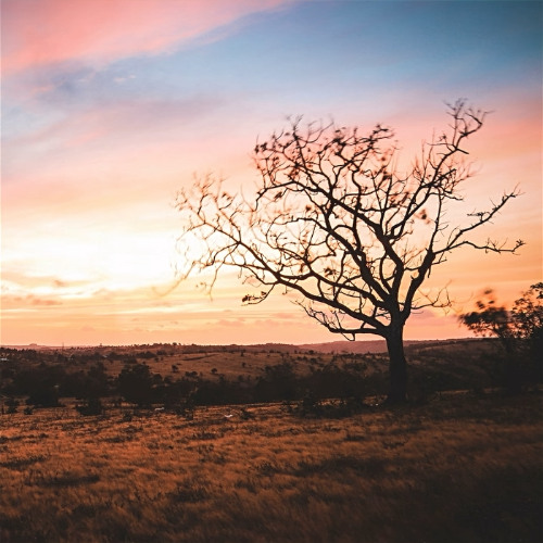 Oleg Byonic - Our hearts