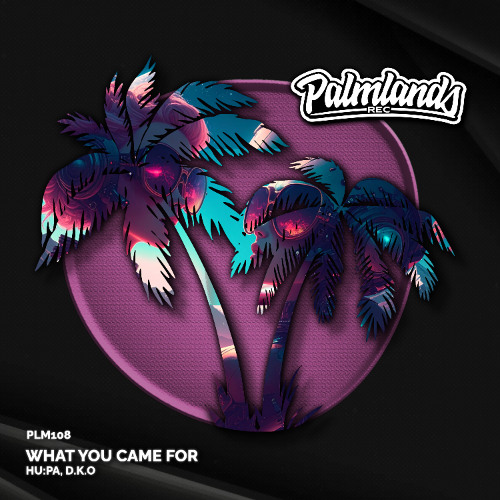 HU:PA & D.K.O - What You Came For (Streaming Edit) [Palmlands Records]