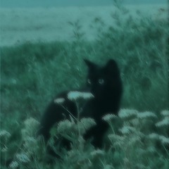 breadwinners w caliyon (prod. 2cb)