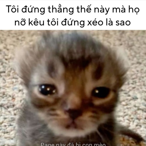 MASHUP 4 IN 1 REMIX - NƠI VỰC NƠI TRỜI x ANH ĐAU TỪ LÚC EM ĐI x CÁNH HOA HÉO TÀN REMIX HOT TIKTOK.op