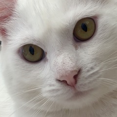 Straight to the all I need