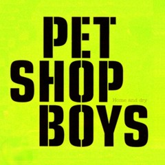 Pet Shop Boys - In Da Mix