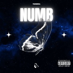 Numb (Prod. Tundra Beats)