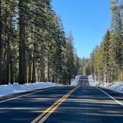 The Donner Party