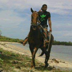 country song Reggae remix
