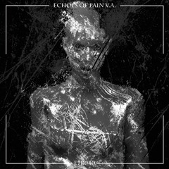 Echoes of Pain V.A.
