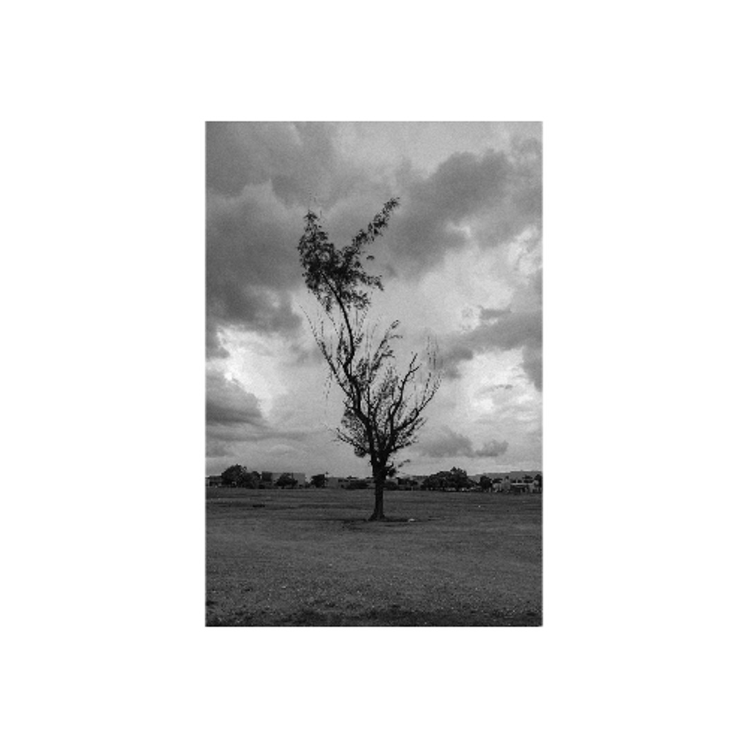 Play Calm Before The Storm by We$Money on Amazon Music