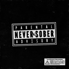 NEVER SOBER PART 1 (south central los angeles)