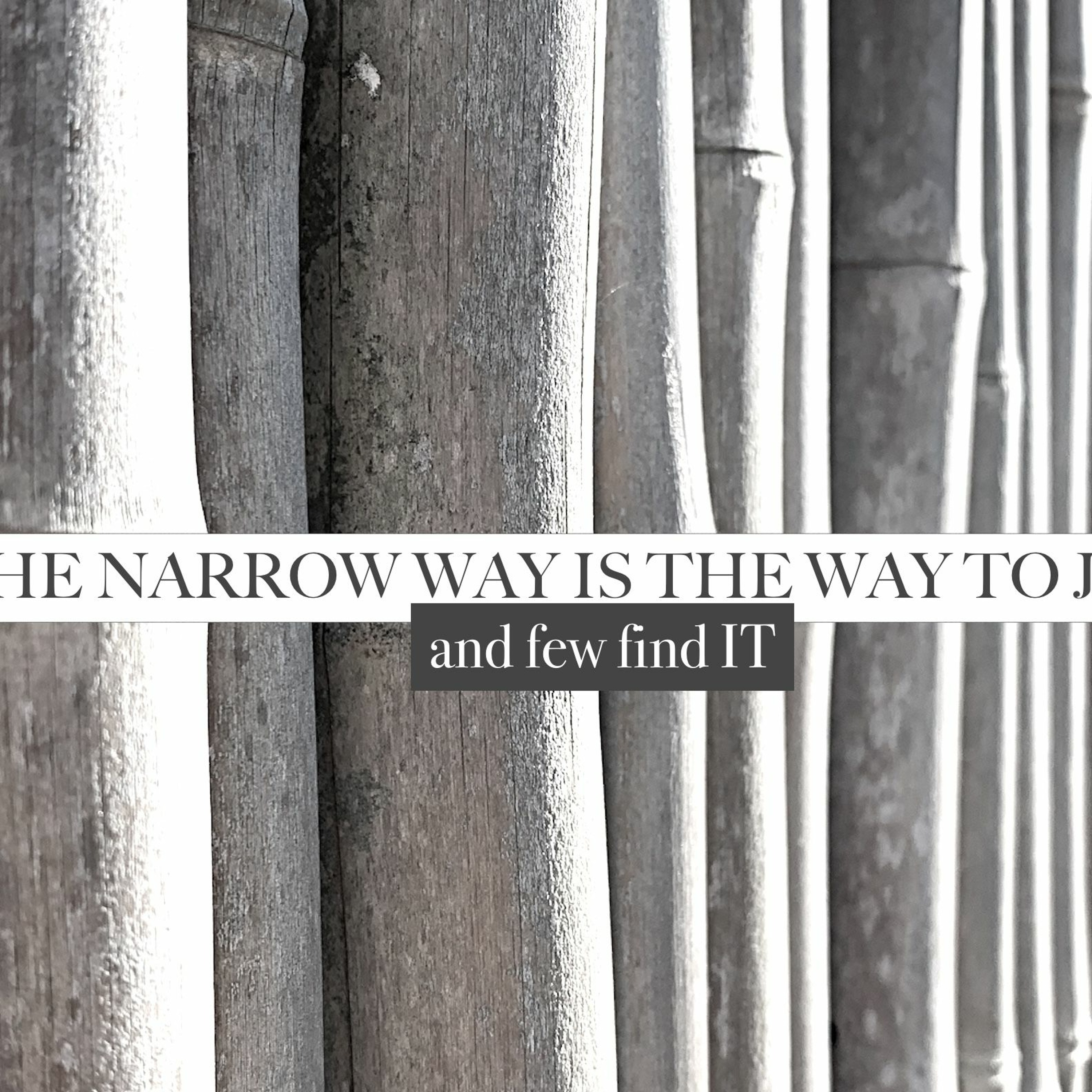 THE NARROW WAY IS THE WAY TO JESUS - And Few Find It episode artwork