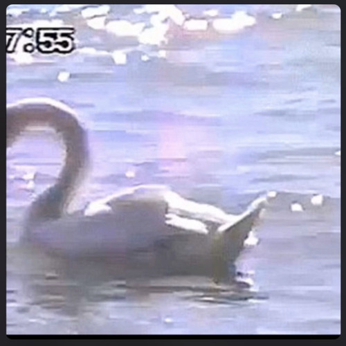 ive missed you too much (interlude).m4a