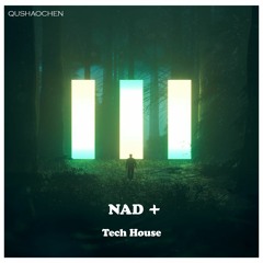 曲少臣 - NAD + (Original Mix)