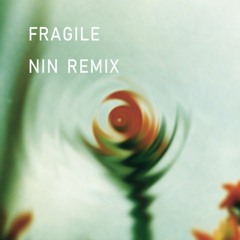 Drag S - Fragile (Nine inch nails remix)