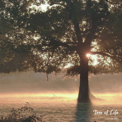 Tree of Life