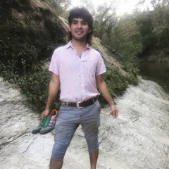 Black bird S’in on muh D & B’s