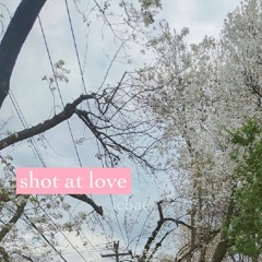 shot at love