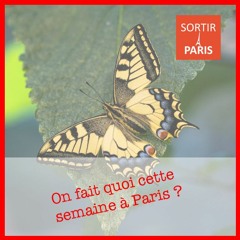 Les sorties de la semaine du 15 au 21 mai 2023