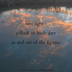 SONG 141 - NaviarHaiku637 - First Light