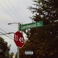 LARCHWOOD DRIVE