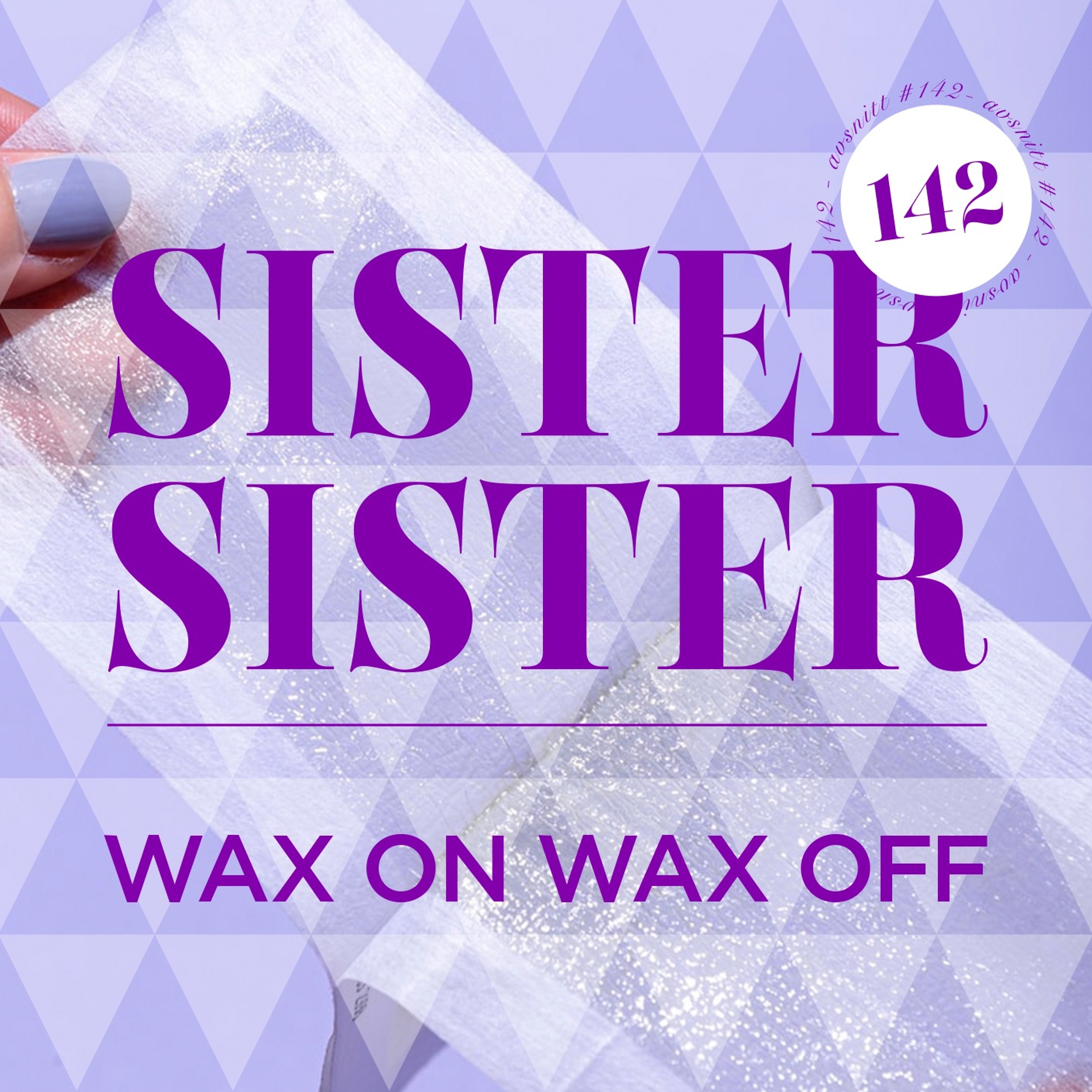 #142 Wax on wax off episode artwork