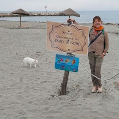 L'Isola dell'Amore  (THE ISLAND OF LOVE near VENICE)