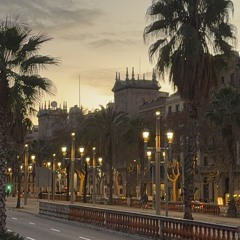 maula mere - मौला मेरे (slowed + reverb)