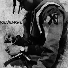 REVENGE FREESTYLE