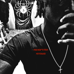 Freak B*TCHES NEVER DIE