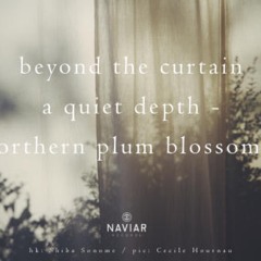 naviarhaiku381: beyond the curtain