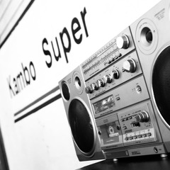 Reggae & Dub Selections - 100% Vinyl Mix (Intro by Jah Tea)