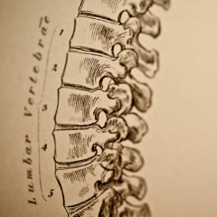 Early Lateral Movements with David Zemach-Bersin