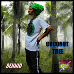 SENNID & JOSH GRENNAN BEATS MUSIC - COCONUT TREE