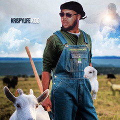 Krispylife Kidd ft RMC Mike - Monetize