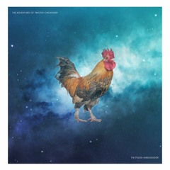 The Polish Ambassador - The Adventures Of Timothy Chickensby