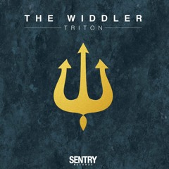 The Widdler - Listen To The Sound
