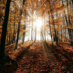 Autumn 21 - House Mix #22