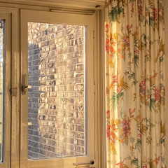 taking pictures of you / caroline