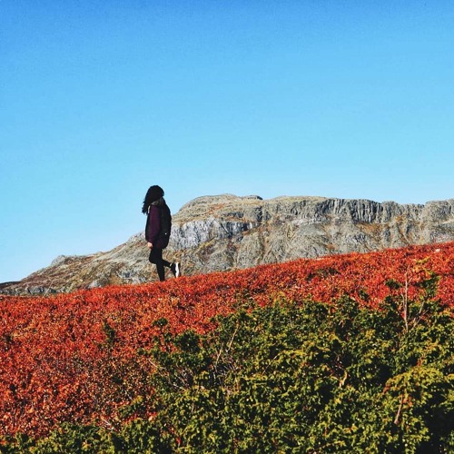 HK_Free_Sets/Mixes/Live_02