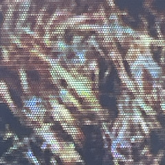 mom im scared im in hell