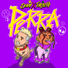 j balvin x tokischa - perra (desamor. remix)