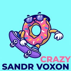 Sandr Voxon - Crazy (Extended Mix)
