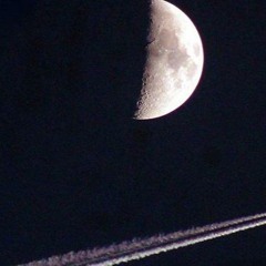 GALLAMA schallschutz FuckyouBitch