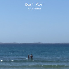 Don't Wait